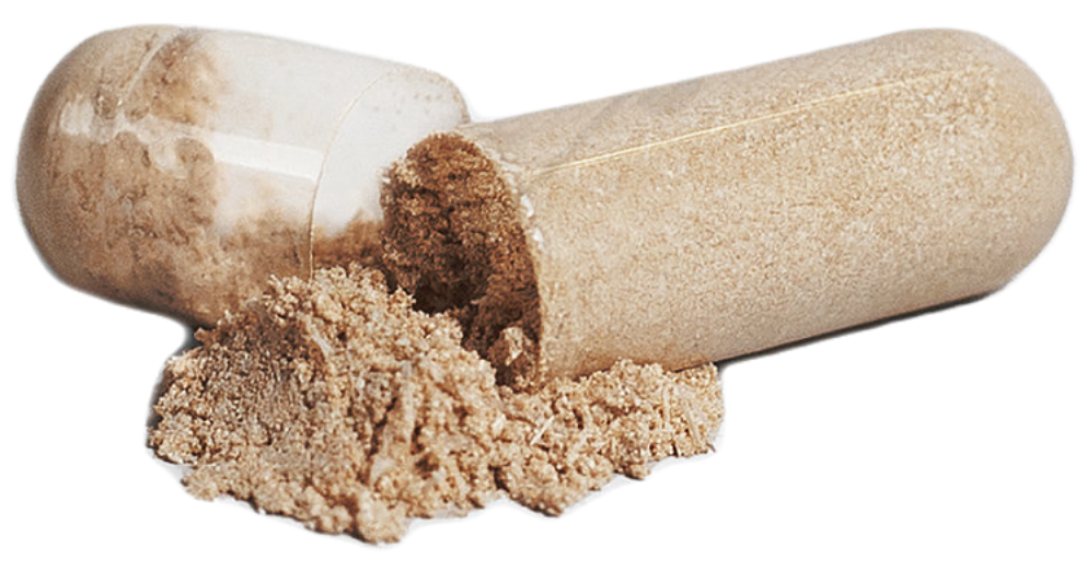 Maca Plus