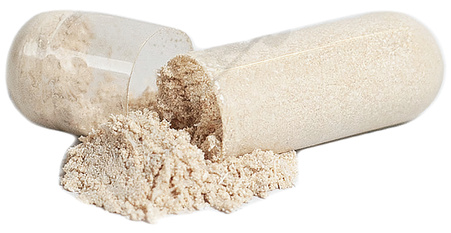 Complete Multivitamin