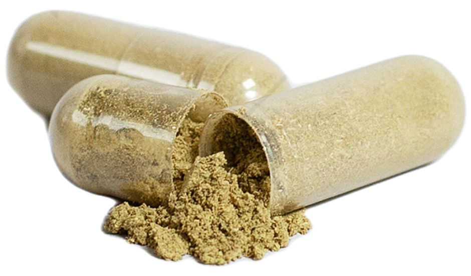 Ginkgo Biloba + Ginseng