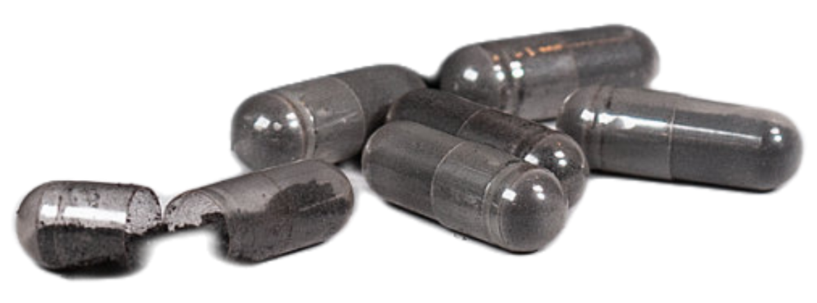 Birch Chaga Microbiome Wellness Capsules