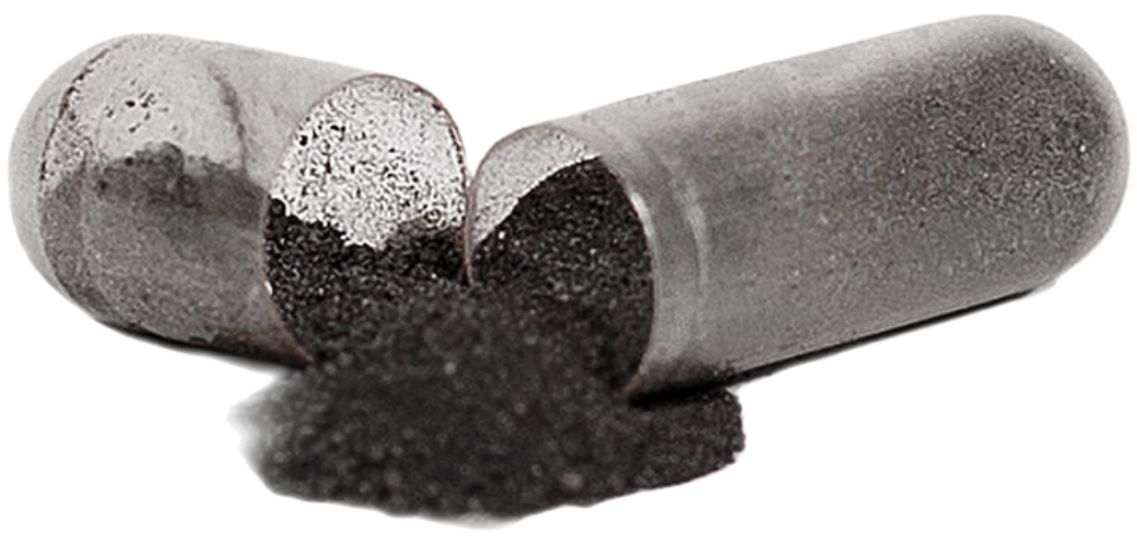 Birch Chaga Microbiome Wellness Capsules