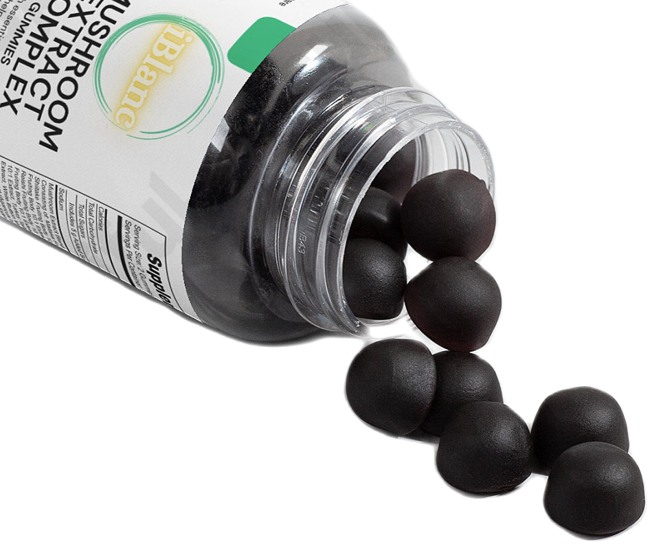 Mushroom Extract Complex